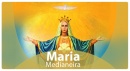 Maria Medianeira no Santu�rio